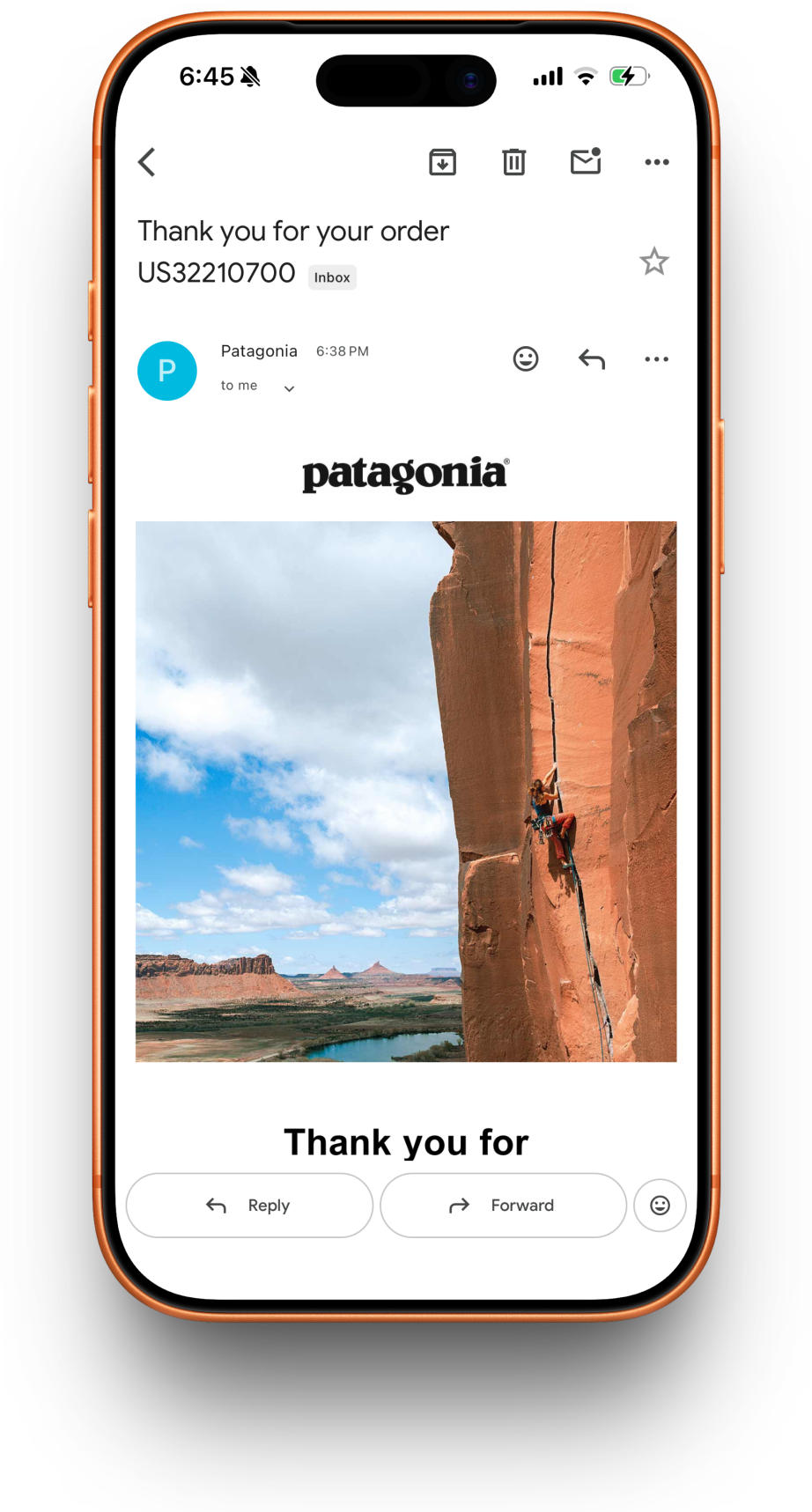 Patagonia receipt preview