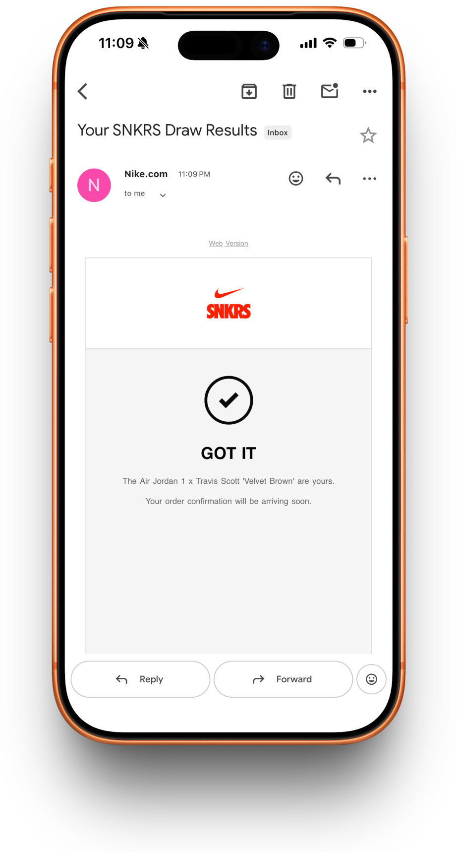 SNKRS GOT 'EM receipt preview