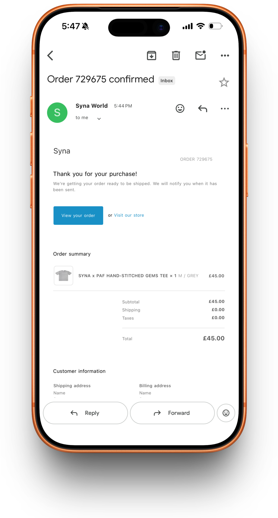 Syna World receipt preview